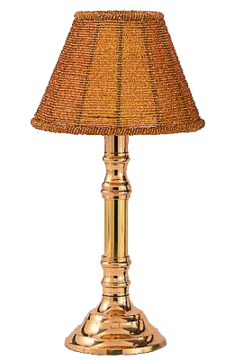 Gold Lamp with Silver Bead Shade