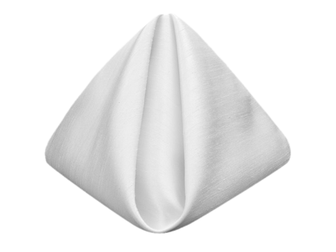 White Shantung Napkin