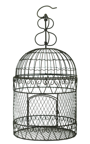 Round Wire Birdcage