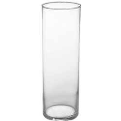 12" Clear Glass Cylinder Vase